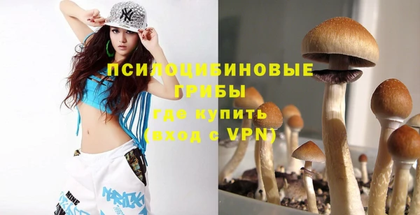 крисы Нефтекумск