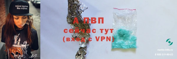 крисы Нефтекумск