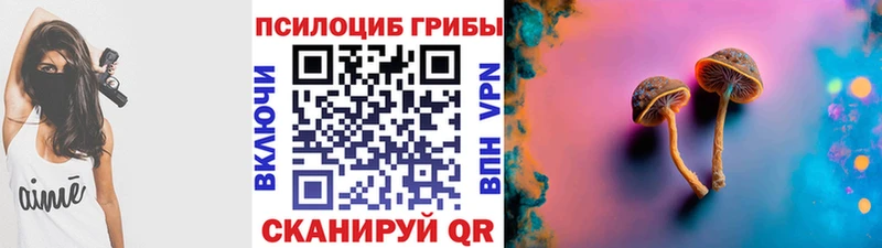 Купить закладки  Чулым  Галлюциногенные грибы GOLDEN TEACHER 